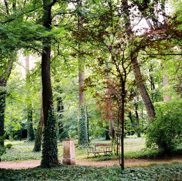 Kyriad Vienna Altmannsdorf Zewnętrze zdjęcie